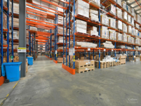 3800亿市场风口!欧洲海外仓成宠物卖家“出海神器”