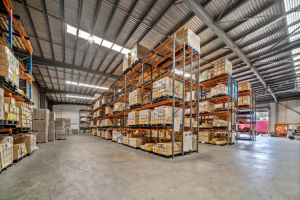 宠物经济火爆欧美!卖家怎么用欧美海外仓接住流量!