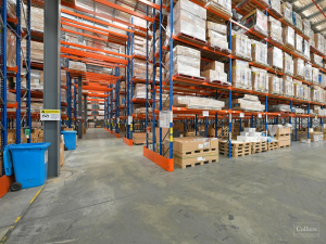 3800亿市场风口！欧洲海外仓成宠物卖家“出海神器”